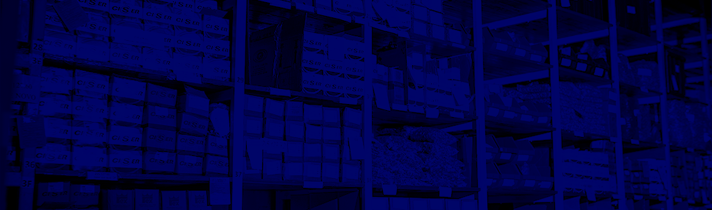 Banner de fundo Monrizzo